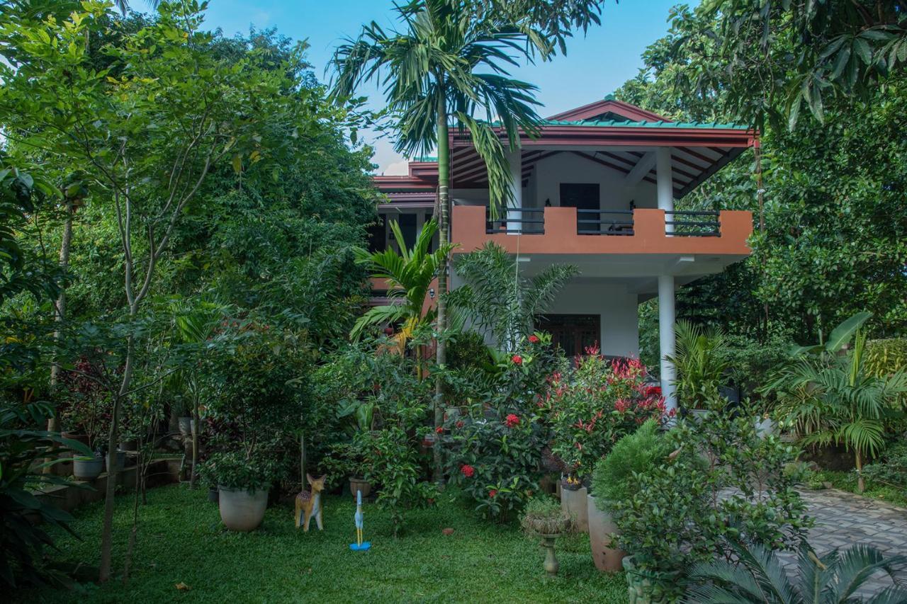 Sadee'S Place Dambulla Extérieur photo